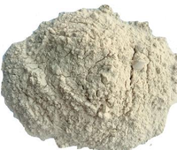 Proteína de alta qualidade (mínimo 82%) Farinha de Glúten de Trigo Vital para Indústria de Panificação